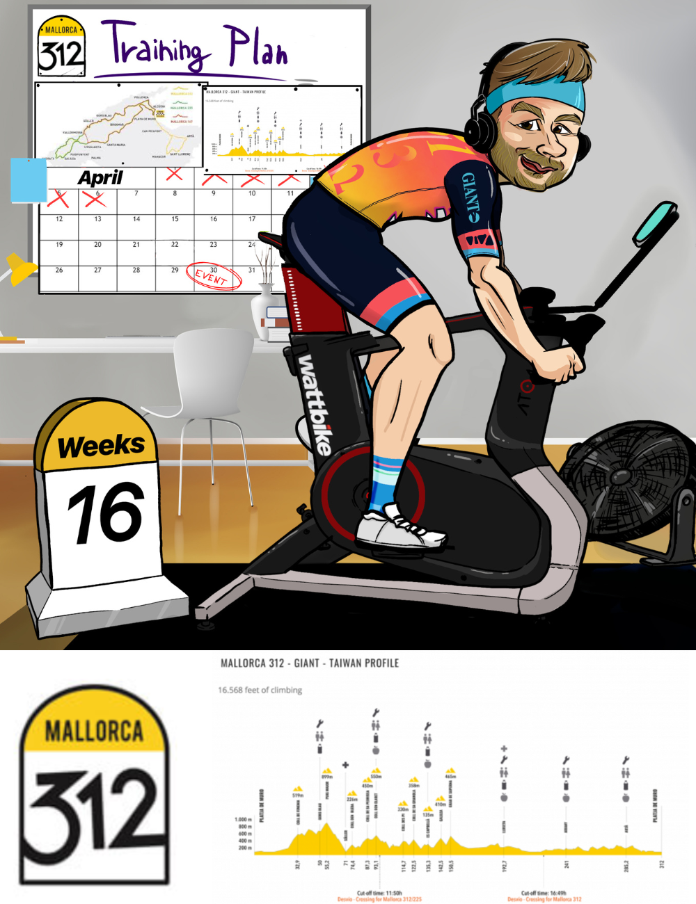 Mallorca 312 Training Plan | 16 Weeks